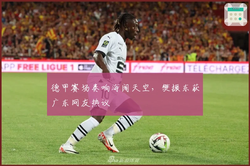 德甲赛场奏响海阔天空，樊振东获广东网友热议